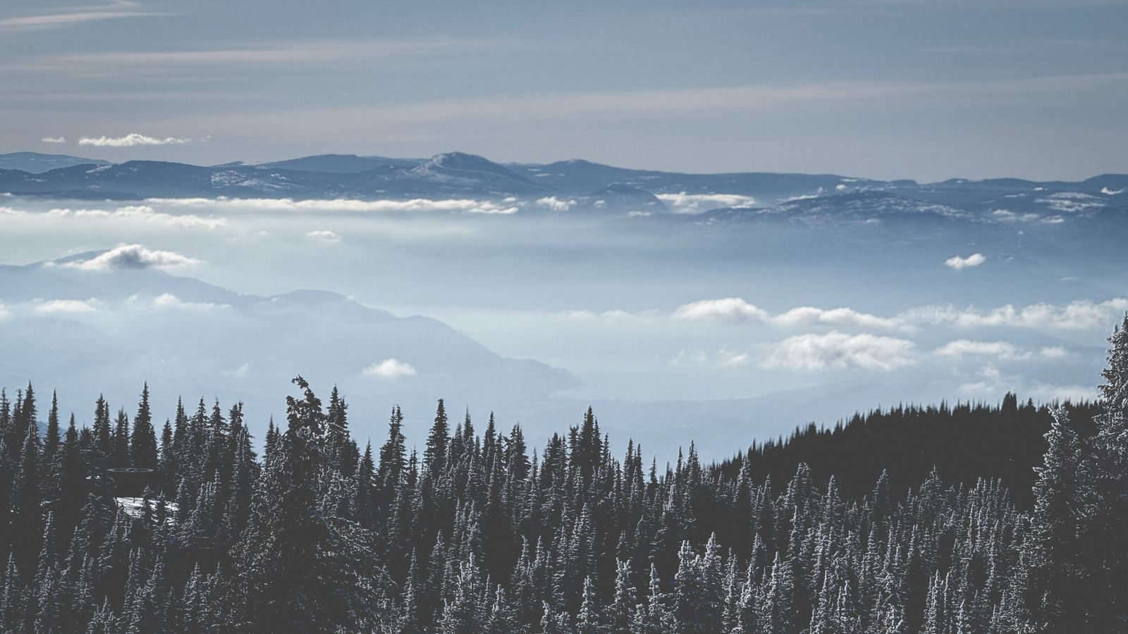 Snow-covered mountains above the clouds, viewed from a ridgeline